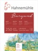 Hahnemuhle ������ ��� �������� "Burgund", 24*32��, 250 �/��.�, 20 ������ - ����������� ������ ��� ���������� ��������� ��� ���������
