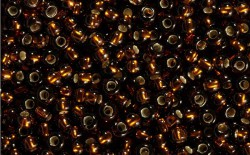 ����� �����  Preciosa �����, 10/0, 17140 ������� ������ � ������ ����� , 5�� - ����������� ������ ��� ���������� ��������� ��� ���������