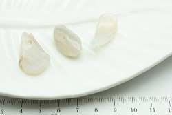 ����, �������� ���������, ����� ~27��, 3��/�� - ����������� ������ ��� ���������� ��������� ��� ���������