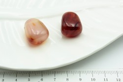 �������� �������� ��������~23*18�� 2��/�� - ����������� ������ ��� ���������� ��������� ��� ���������