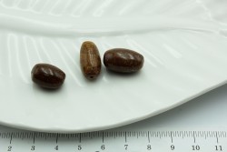 ����, ��������, ~19��, 3��/�� - ����������� ������ ��� ���������� ��������� ��� ���������