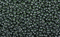 ����� Preciosa ������� 10/0, 49102 ����� ����������� ������������, 50�� - ����������� ������ ��� ���������� ��������� ��� ���������