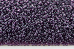 ����� Preciosa ������� 10/0, 20060� ����� ������ �������, 50�� - ����������� ������ ��� ���������� ��������� ��� ���������