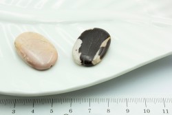 ����, �������� ����, ���+������, 29*20*5 ��, 2��/�� - ����������� ������ ��� ���������� ��������� ��� ���������