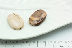 ����, �������� ����, ���+������, 29*20*5 ��, 1��/�� - ����������� ������ ��� ���������� ��������� ��� ���������