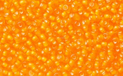 ����� �����  Preciosa �����, 10/0, 95006 ���������� ��������� ����� ������, 5�� - ����������� ������ ��� ���������� ��������� ��� ���������