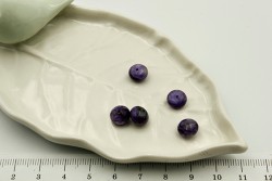 ������ ������� 8*5�� 5��/�� - ����������� ������ ��� ���������� ��������� ��� ���������