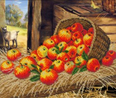 �� ��-800/814 ����� ��� ��������� ������� "�������� ����" 26*31,2�� - ����������� ������ ��� ���������� ��������� ��� ���������