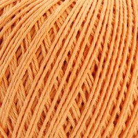 ����� ��� ������, ����� 0502 - ����������� ������ ��� ���������� ��������� ��� ���������