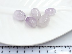 ������� ���� 12*8�� 1��/������� - ����������� ������ ��� ���������� ��������� ��� ���������