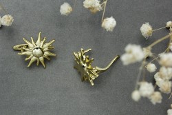 ������ �15 ������ ������ 1 ���� - ����������� ������ ��� ���������� ��������� ��� ���������