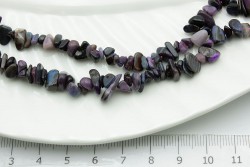 ������ ������ 5�� 40��/���� - ����������� ������ ��� ���������� ��������� ��� ���������