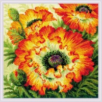 ������ 2080 ����� ��� ��������� ������� ���������� ���� 40*40�� - ����������� ������ ��� ���������� ��������� ��� ���������