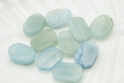 ��������� �������� 12*20 �� 1��/������� - ����������� ������ ��� ���������� ��������� ��� ���������