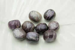 ������ ���� 16*14�� 1��/������� - ����������� ������ ��� ���������� ��������� ��� ���������