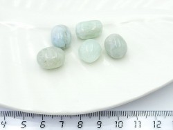 ��������� ���� 10*12�� 1��/��� - ����������� ������ ��� ���������� ��������� ��� ���������