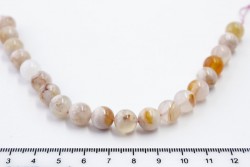 ���� ������ �������, 10��, 20��/���� - ����������� ������ ��� ���������� ��������� ��� ���������