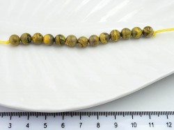 ���� ��������  ������� 6�� 13��/���� - ����������� ������ ��� ���������� ��������� ��� ���������