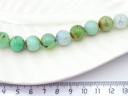 ��������� ������� 12�� 1��/������� - ����������� ������ ��� ���������� ��������� ��� ���������