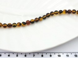 ������ ������� 6�� 20��/���� - ����������� ������ ��� ���������� ��������� ��� ���������