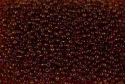 ����� �����  Preciosa �����, 10/0, 10090 ������ �����,  5�� - ����������� ������ ��� ���������� ��������� ��� ���������