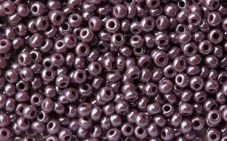 ����� �����  Preciosa �����, 10/0, 28020 ������� ����������,  5�� - ����������� ������ ��� ���������� ��������� ��� ���������