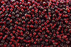 ����� ����� Preciosa �����, 10/0, 97120 ����� � ������ ���, �����  5�� - ����������� ������ ��� ���������� ��������� ��� ���������