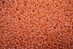 ����� �����  Preciosa �����, 10/0, 38188 ����� ������ ��������� ��������� �������  5�� - ����������� ������ ��� ���������� ��������� ��� ���������