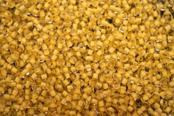 ����� ����� Preciosa �����, 10/0, 38381 �������� � ����� ����� ������ ���������  5�� - ����������� ������ ��� ���������� ��������� ��� ���������