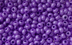 ����� �����  Preciosa �����, 10/0, 16928 ��������� ����� ���, . 5�� - ����������� ������ ��� ���������� ��������� ��� ���������