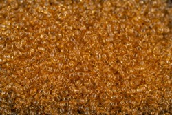 ����� �����  Preciosa �����, 10/0, 10020 �������� ������� �������� , 5�� - ����������� ������ ��� ���������� ��������� ��� ���������