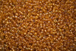 ����� �����  Preciosa �����, 10/0, 11020 �������� �����. �������� ��������, 5�� - ����������� ������ ��� ���������� ��������� ��� ���������