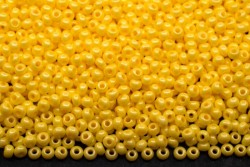 ����� �����  Preciosa �����, 10/0, 16986  ������ ������� ���������� ���,  5�� - ����������� ������ ��� ���������� ��������� ��� ���������