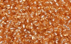 ����� �����  Preciosa �����, 10/0, 18289 ��������� ����� � ������ ��������� 5�� - ����������� ������ ��� ���������� ��������� ��� ���������