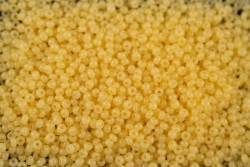 ����� �����  Preciosa �����, 10/0, 02181 ������ ������� �������� , 5�� - ����������� ������ ��� ���������� ��������� ��� ���������