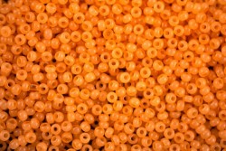 ����� �����  Preciosa �����, 10/0, 02183 ���������  ������� �������� , 5�� - ����������� ������ ��� ���������� ��������� ��� ���������