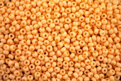 ����� �����  Preciosa �����, 10/0, 03183 ����� ��������� ������� �������, . 5�� - ����������� ������ ��� ���������� ��������� ��� ���������