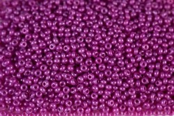 ����� �����  Preciosa �����, 10/0, 17325 ������� ��������� ����� ��������, , 5�� - ����������� ������ ��� ���������� ��������� ��� ���������