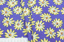 ����� � 227 ������������ ������ 100%, h-110��, - ����������� ������ ��� ���������� ��������� ��� ���������