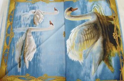 ����� � 325 ������ ������ 100%,  ����� 110*30��, - ����������� ������ ��� ���������� ��������� ��� ���������