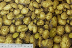 ����� �800 ������������ ������  100%, h-110��, - ����������� ������ ��� ���������� ��������� ��� ���������