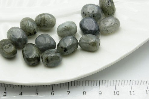 �������� ������� ������� 1��/������� - ����������� ������ ��� ���������� ��������� ��� ���������