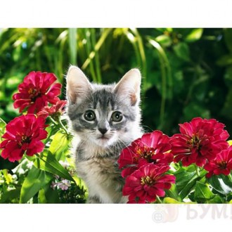 ������ Ag422 �������� ������� ������� � ������ 48*38�� - ����������� ������ ��� ���������� ��������� ��� ���������