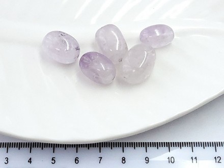 ������� ���� 12*8�� 1��/������� - ����������� ������ ��� ���������� ��������� ��� ���������