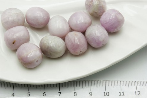 ������ ���� 18*15�� 1��/������� - ����������� ������ ��� ���������� ��������� ��� ���������