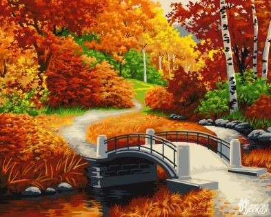 ������� �������� ������� ����� 40*50 - ����������� ������ ��� ���������� ��������� ��� ���������