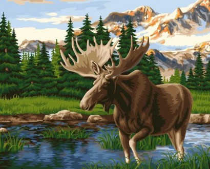 ������� �������� ���� 40*50 - ����������� ������ ��� ���������� ��������� ��� ���������