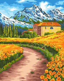 ������� �������� ���������� ���� 40*50 - ����������� ������ ��� ���������� ��������� ��� ���������