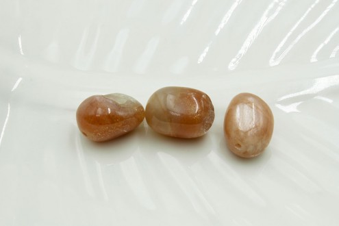 ��������� ������ ���� �������� 15*10�� 3��/�� - ����������� ������ ��� ���������� ��������� ��� ���������