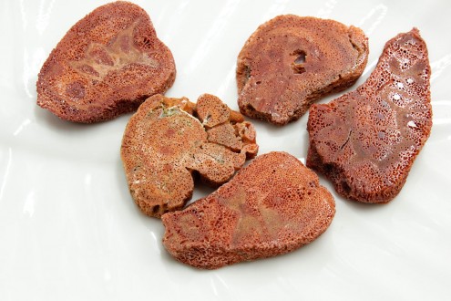 ������ �������� 1��/������� - ����������� ������ ��� ���������� ��������� ��� ���������